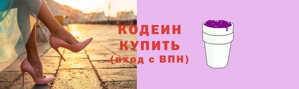 спиды Вяземский