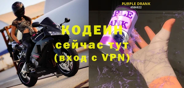 спиды Вяземский
