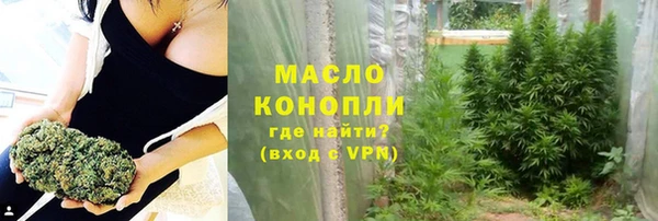 спиды Вяземский