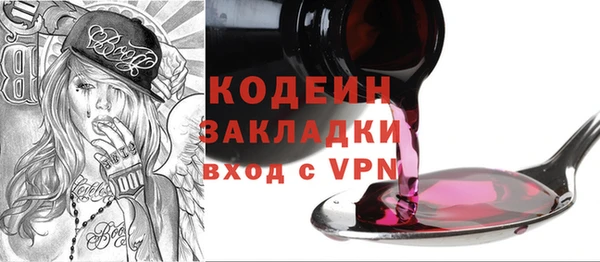 спиды Вяземский