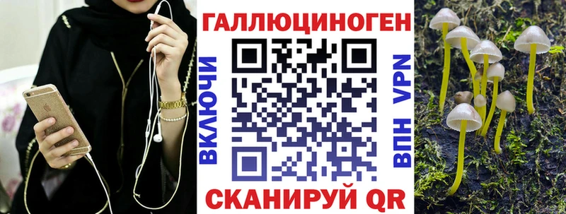Псилоцибиновые грибы Psilocybe  Черепаново 
